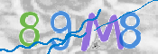 Immagine CAPTCHA